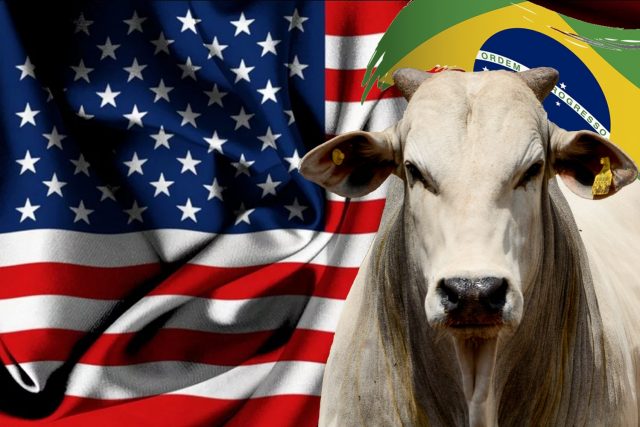 EUA AUMENTA COMPRA DE CARNE BRASILEIRA EM 111,3%