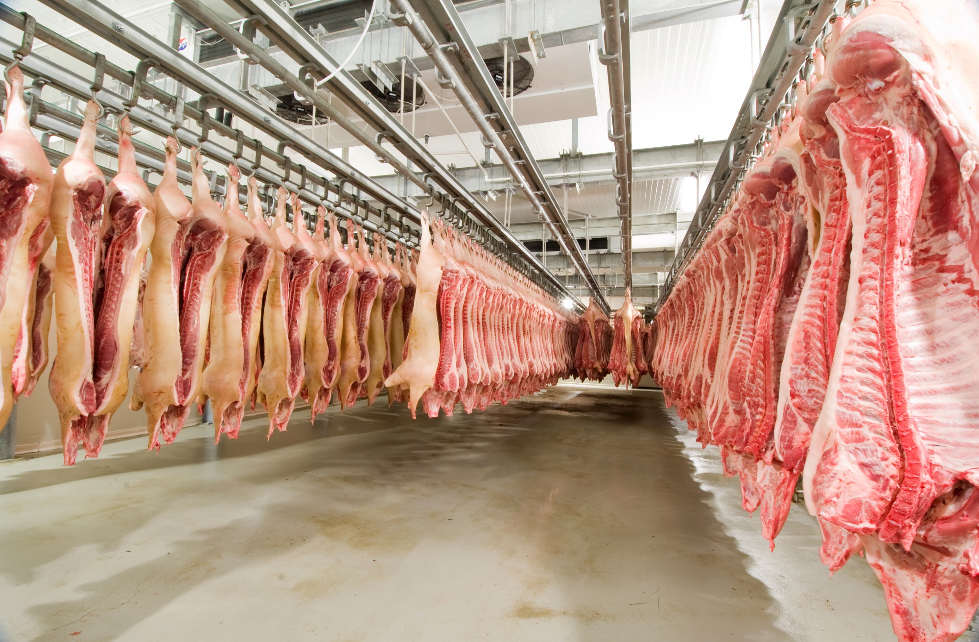 Volume exportado de carne bovina atinge 142,6 mil toneladas, mas preços médios recuam no comparativo semanal
