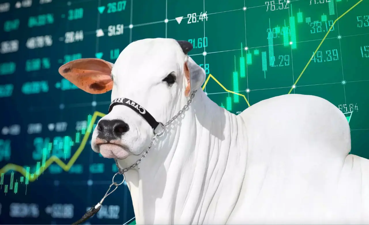 Vaca Nelore pode levantar R$ 100 milhões na Bolsa de Valores